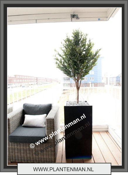 olijf 130 cm in bouvy black 1